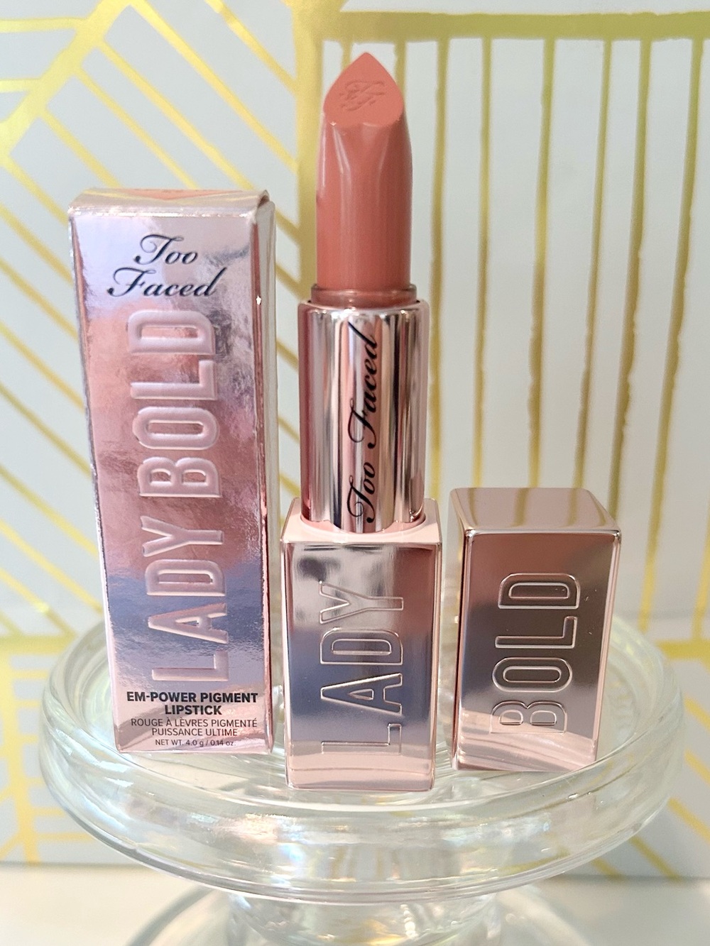 ✨ Too Faced Lady Bold EM-Power Pigment Cream Lipstick | 05 Level Up | NIB
